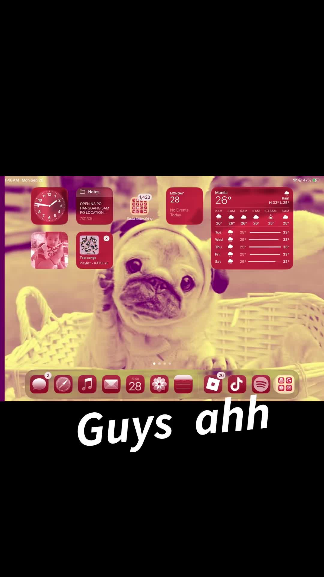 @I love animals so much 💜🩷⭐️