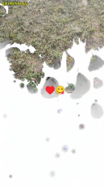 @🥰♥️i love ❤️❤️🥰Mom🥰❤️Dad