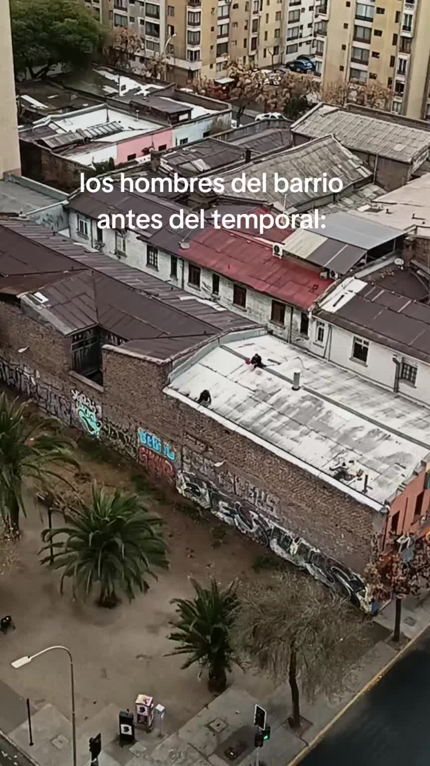 @Nico                 🪳
