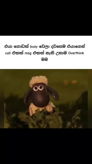 @<м&sigma;&cent;н&iota; ѕт&alpha;т&upsilon;ѕ🐼🤍
