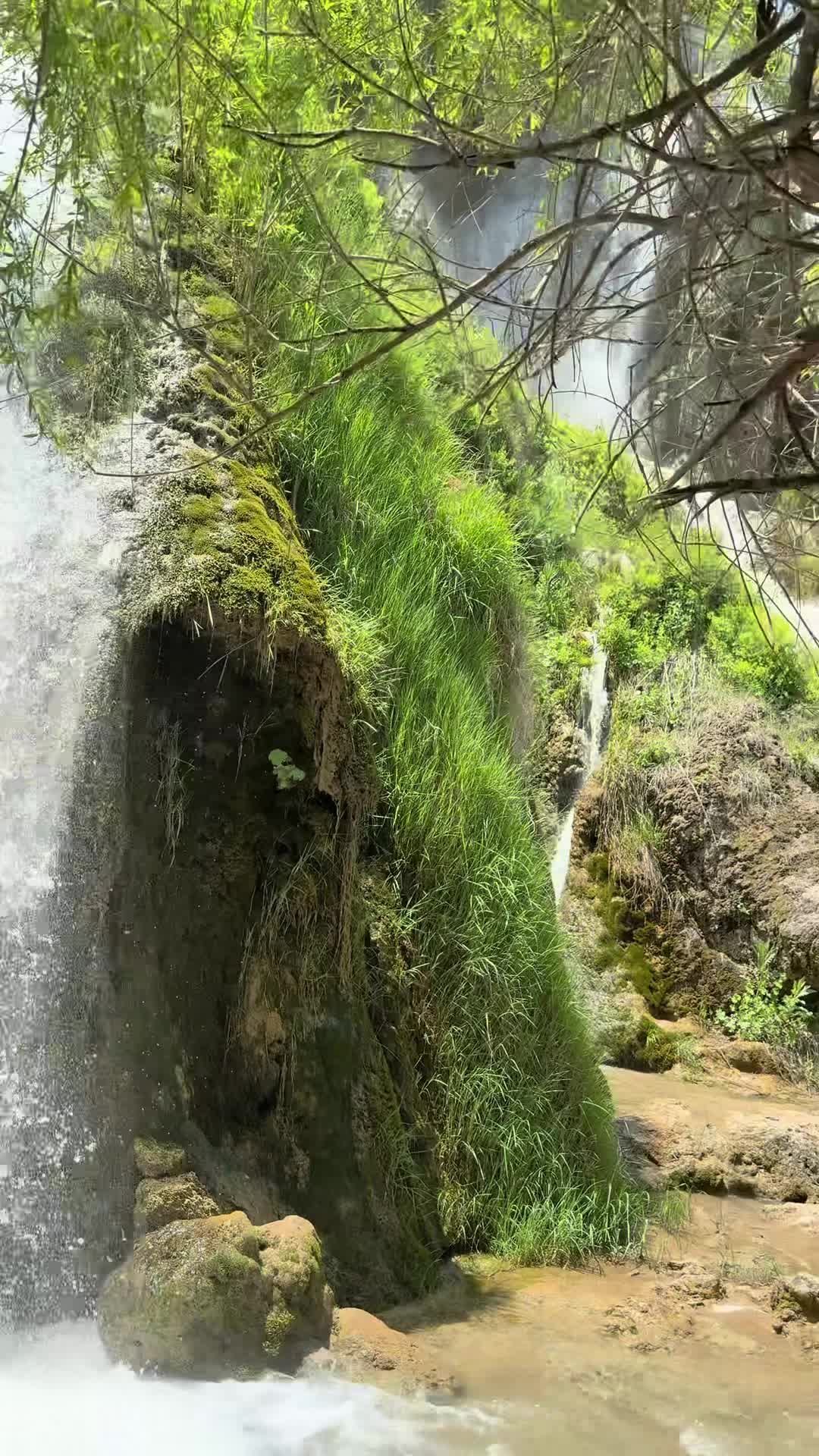 @&Ouml;zkan &Uuml;z&uuml;m