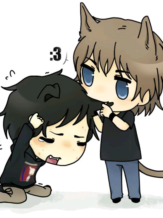 @projectada chan🐾