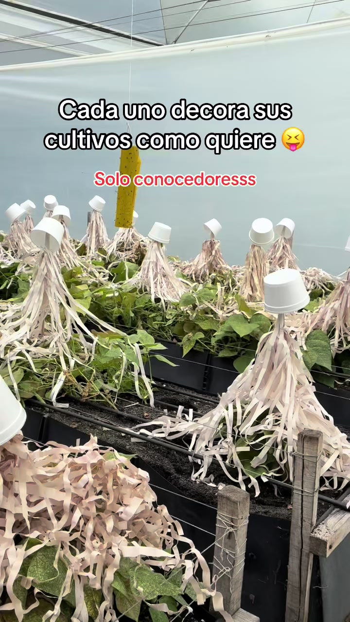 @Juan Felipe G 🧑🏻&zwj;🌾