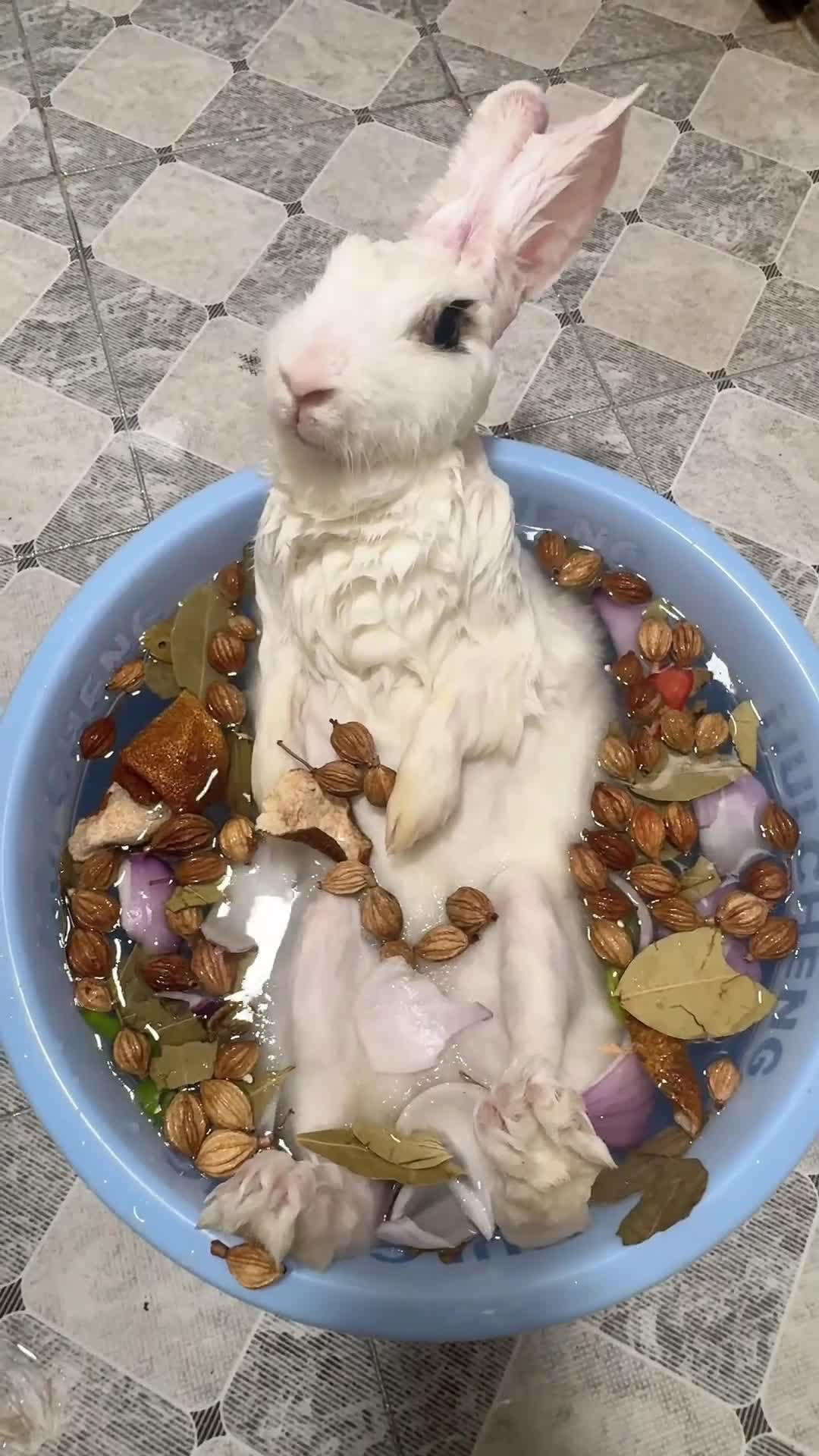 @RabbitBall