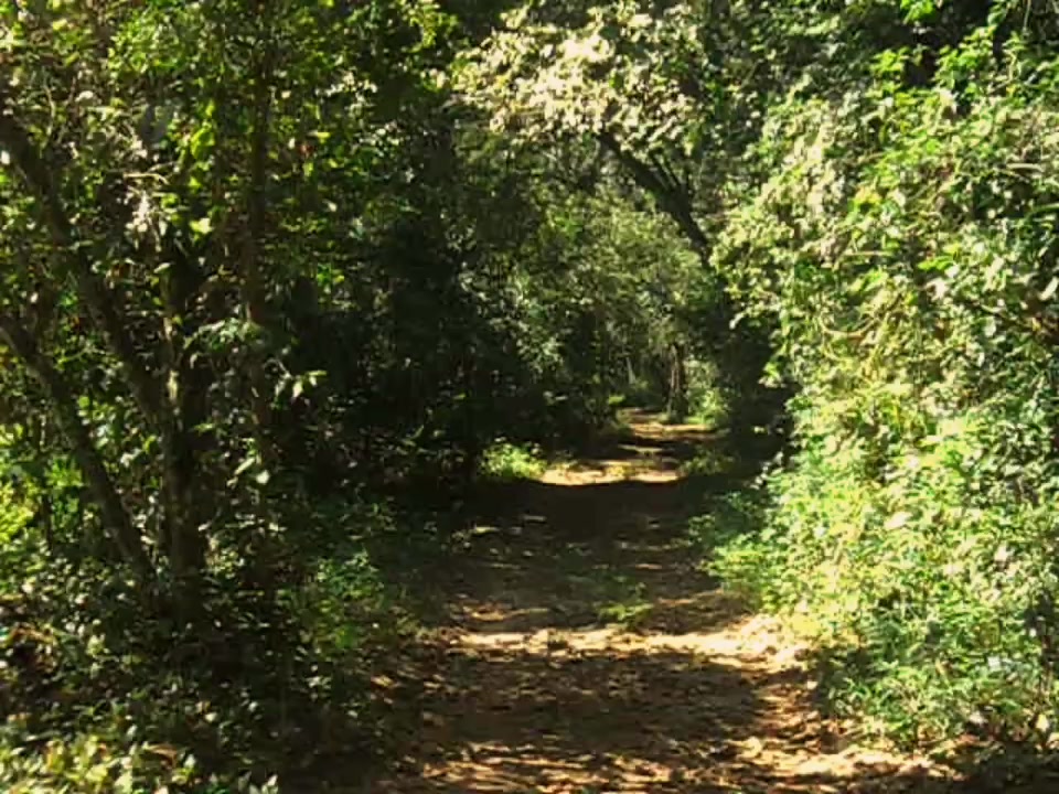 @Silent Refuges