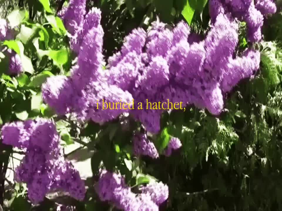 @☘︎