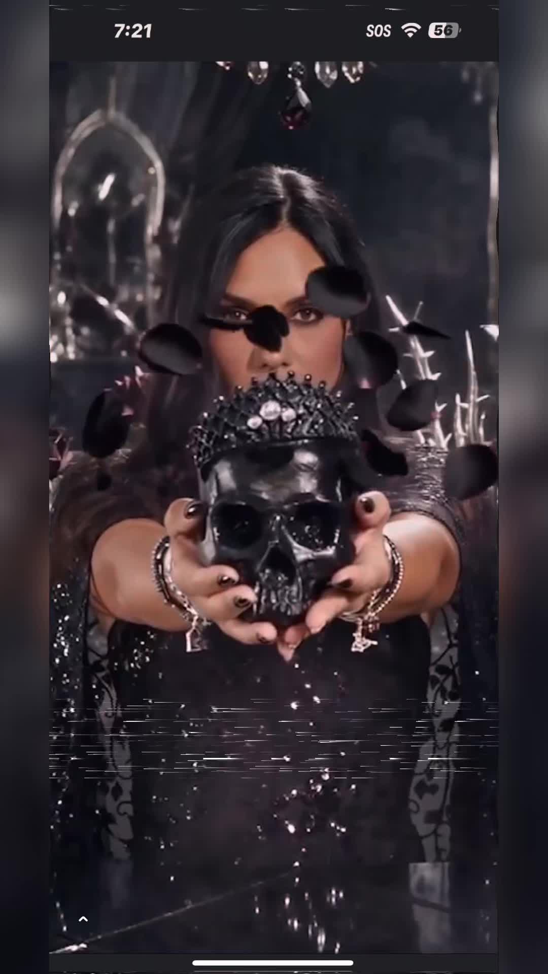 @granniespartyanimals