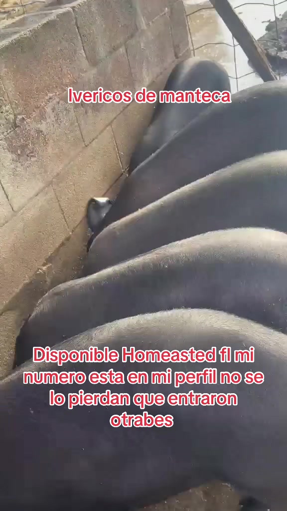 @Danny
