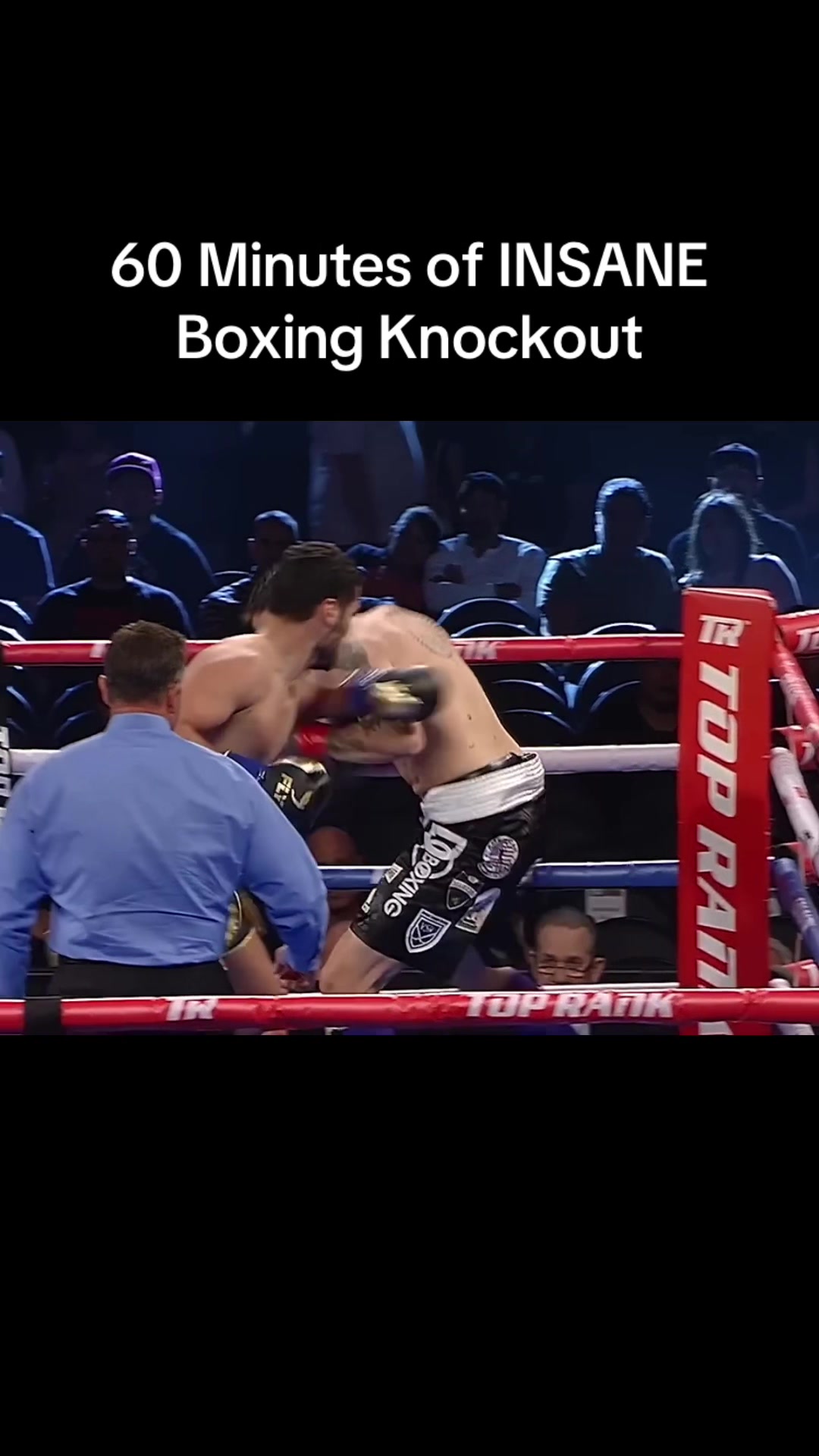 @gaubsksnj UFC