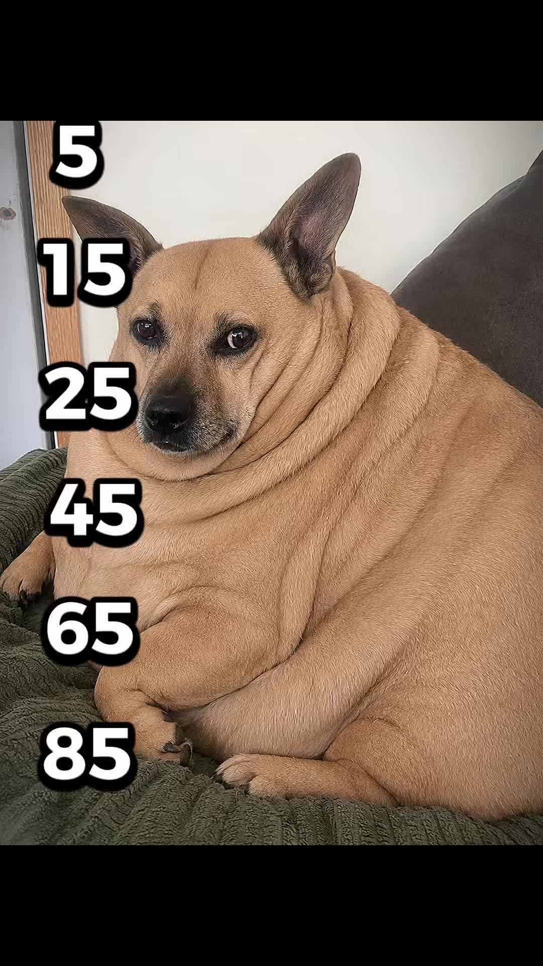 @Chewy Drendel