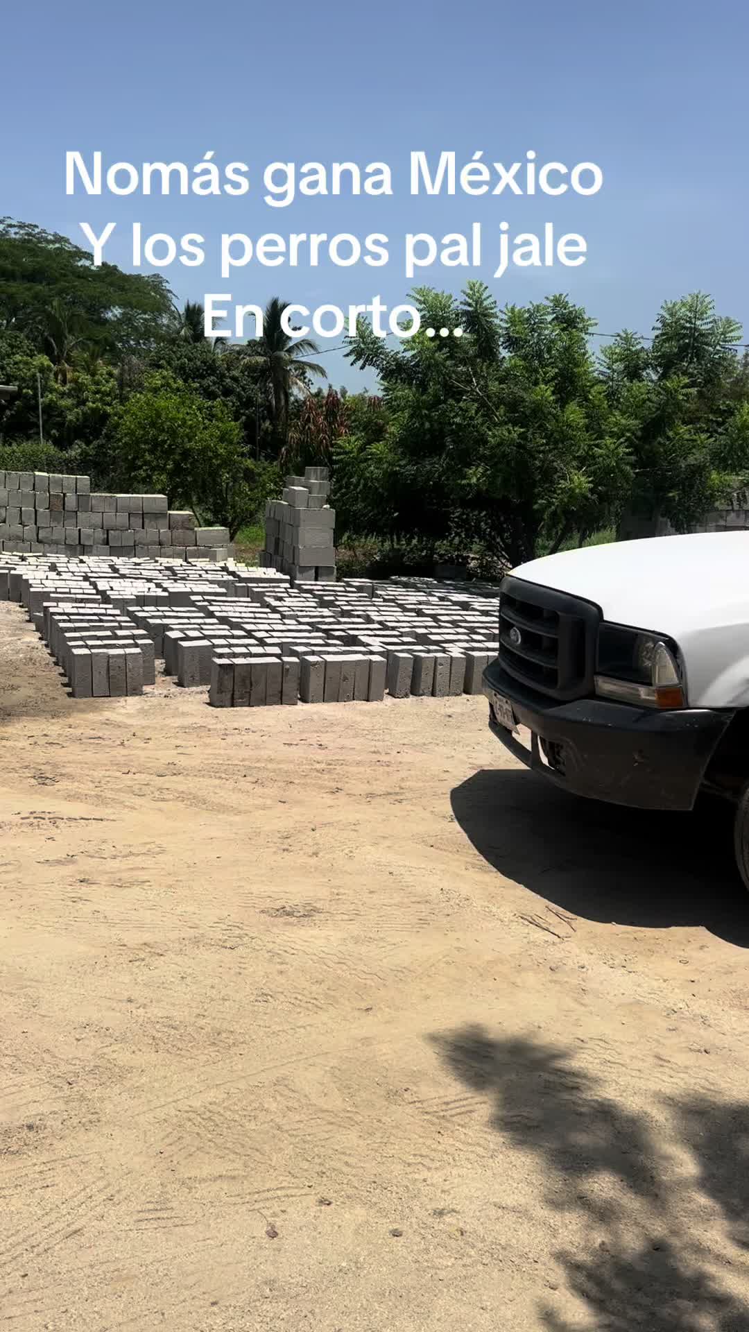 @alejandropera912