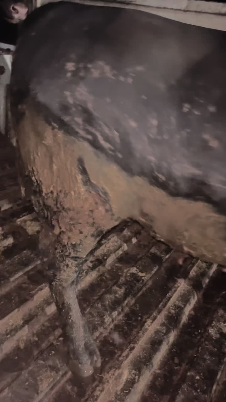 @Çetin