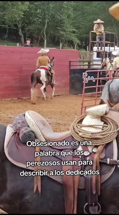@Leobardo Acero Es565
