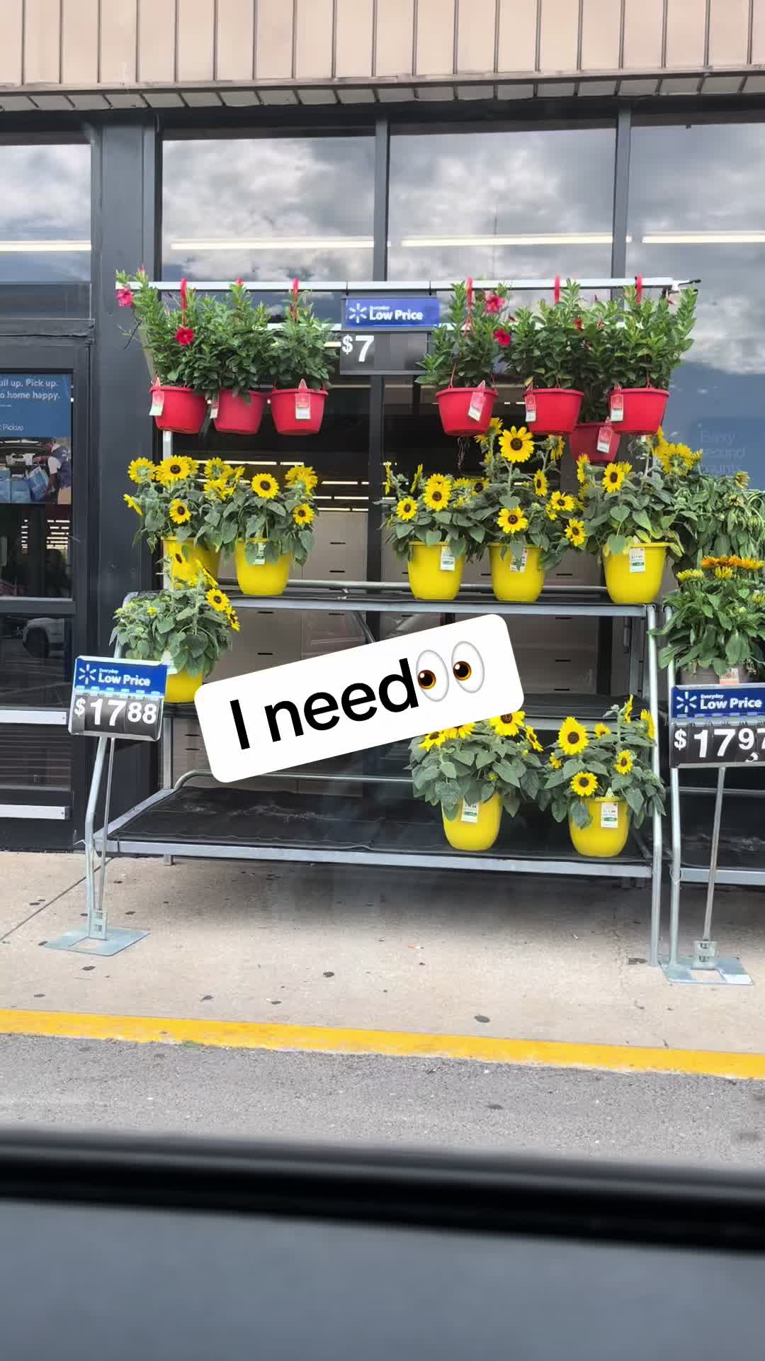 @Nikki