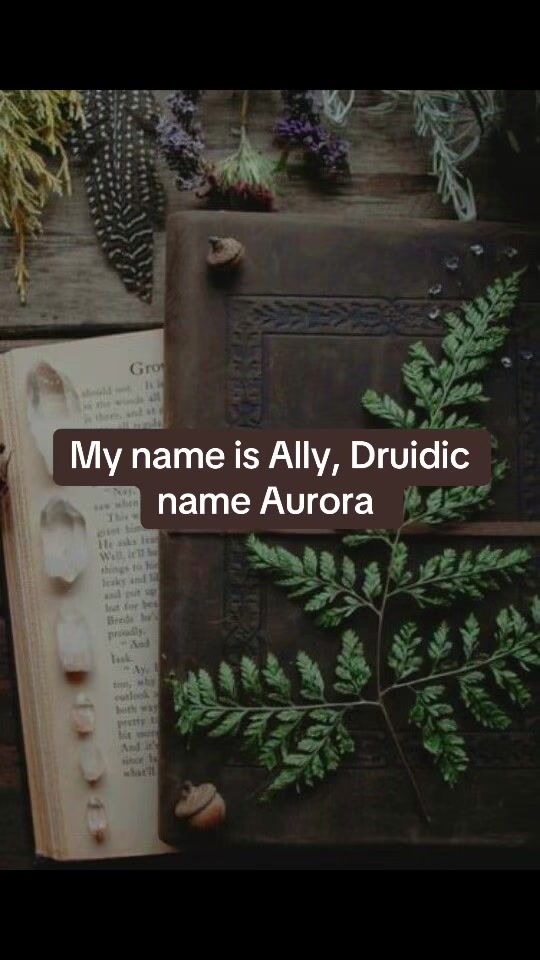 @Ally 🤎