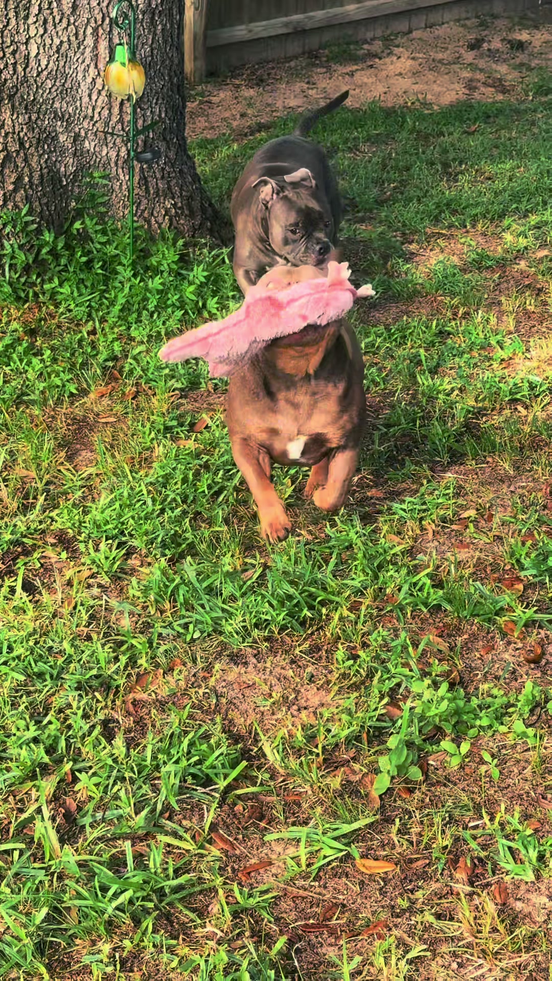 @Bark’n & Park’n