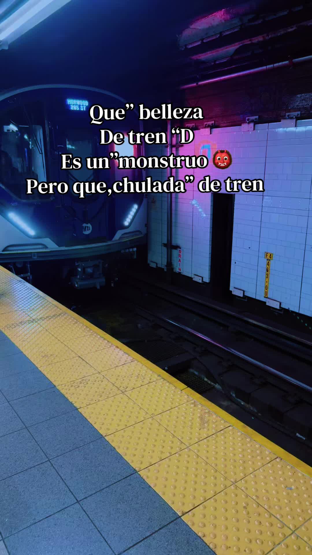 @El Rey “pitbull.”?