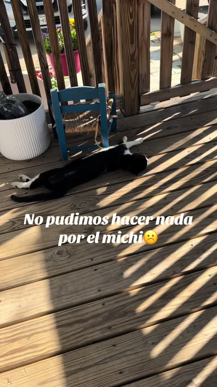 @AZUL🐶🥰