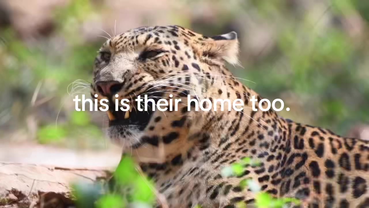 @official_ecoroots