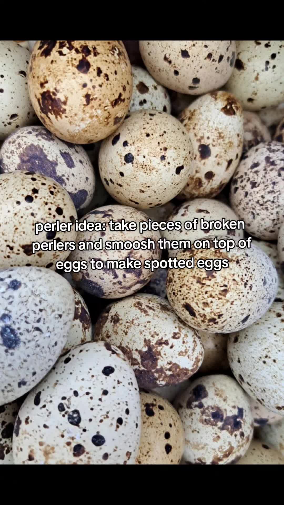 @AdamsPerlerCreations