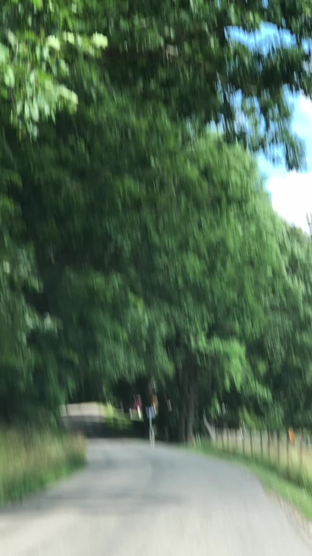 @robinfrazier40