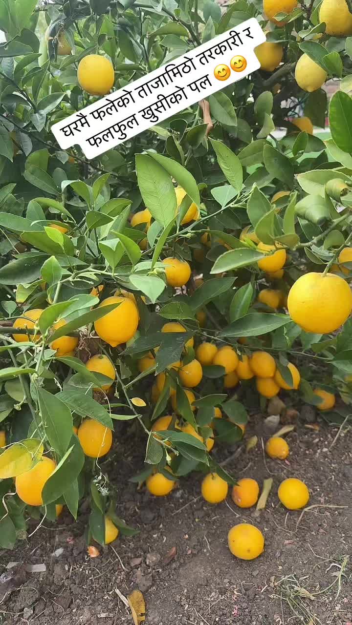 @Ajita