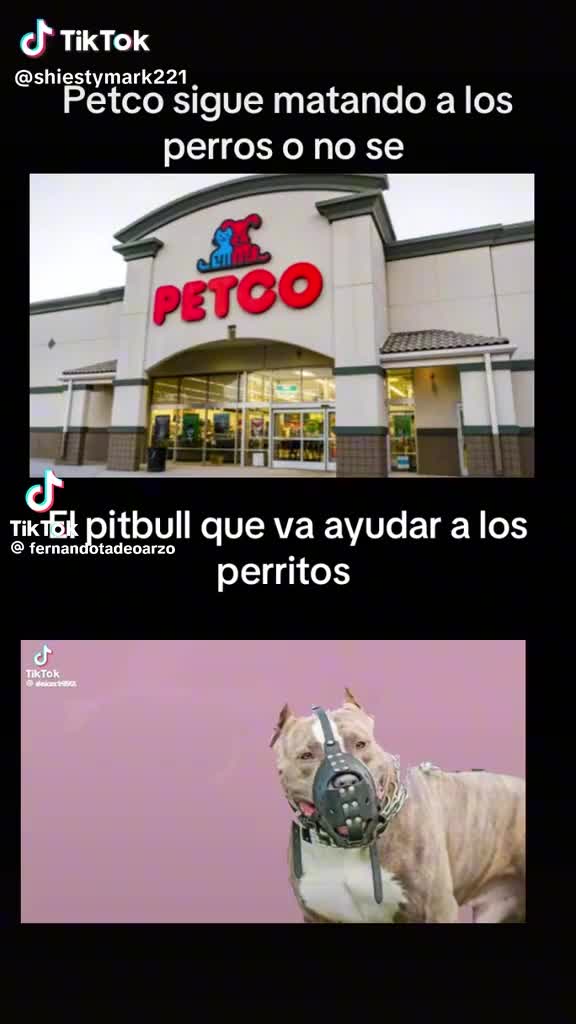 @anthuan anez