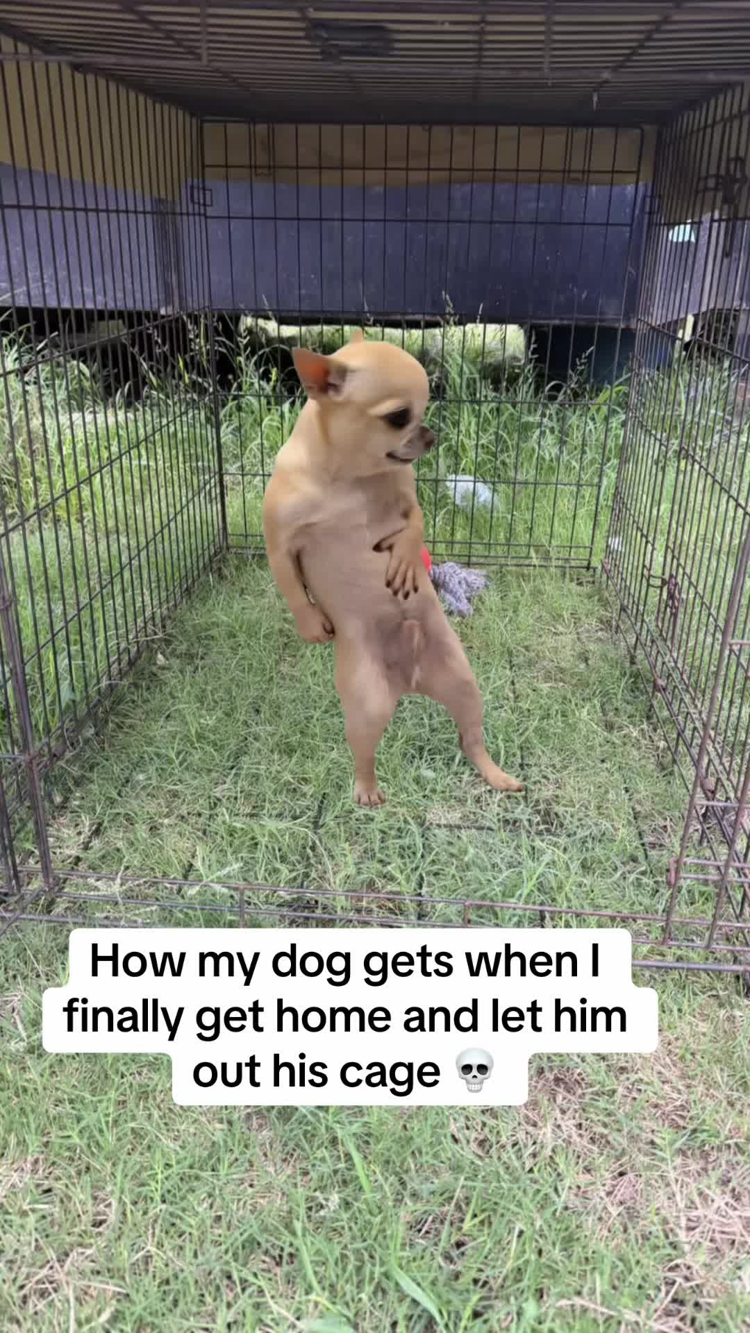 @Dahomiejojo😝