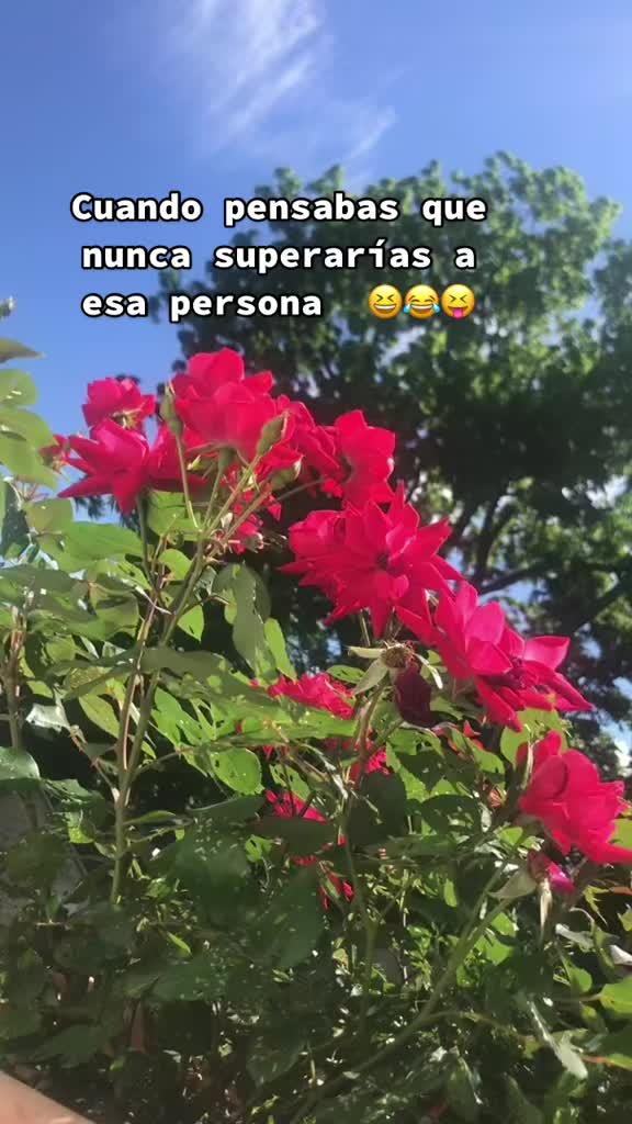 @💛Bonita_Girasol91
