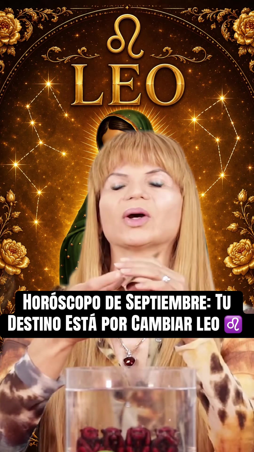 @✨ORÁCULO 13 ✨