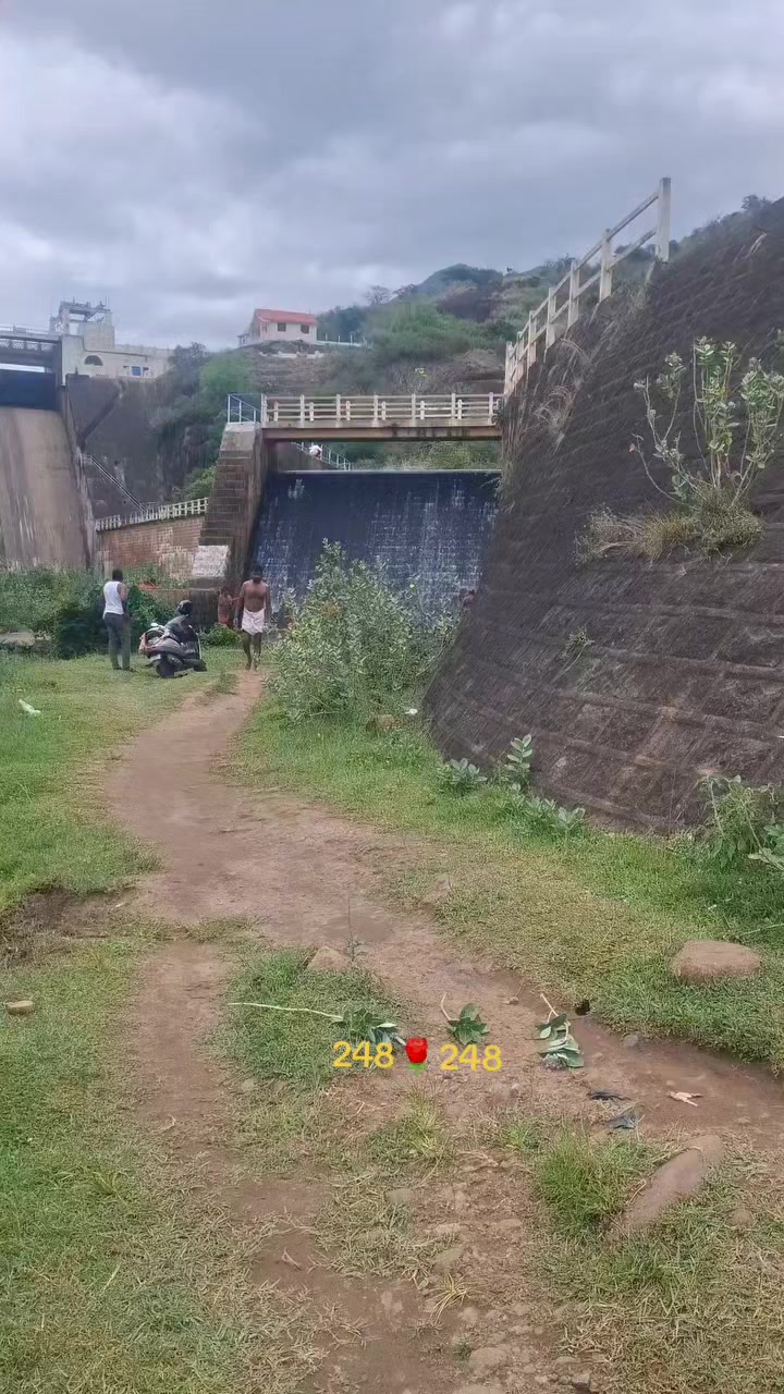 @பேப்பர் ஐடி 248 🌹1