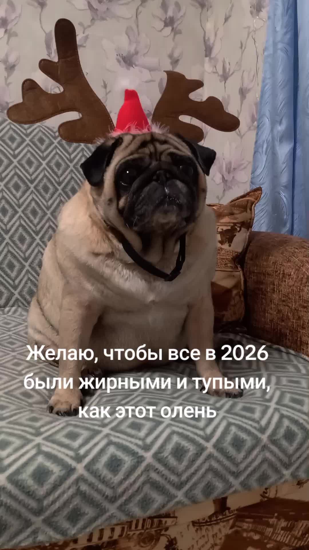 @tg: SamMops76