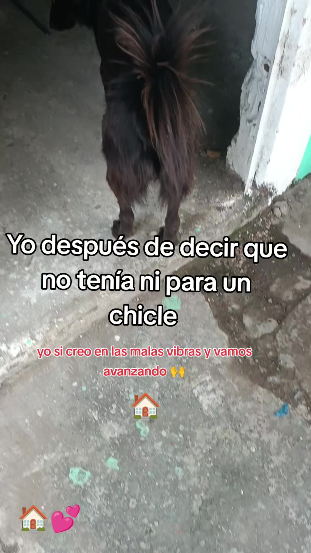 @Aisha Parra