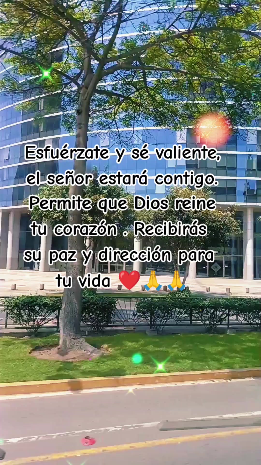 @Elisa🦋 🌻 ✨