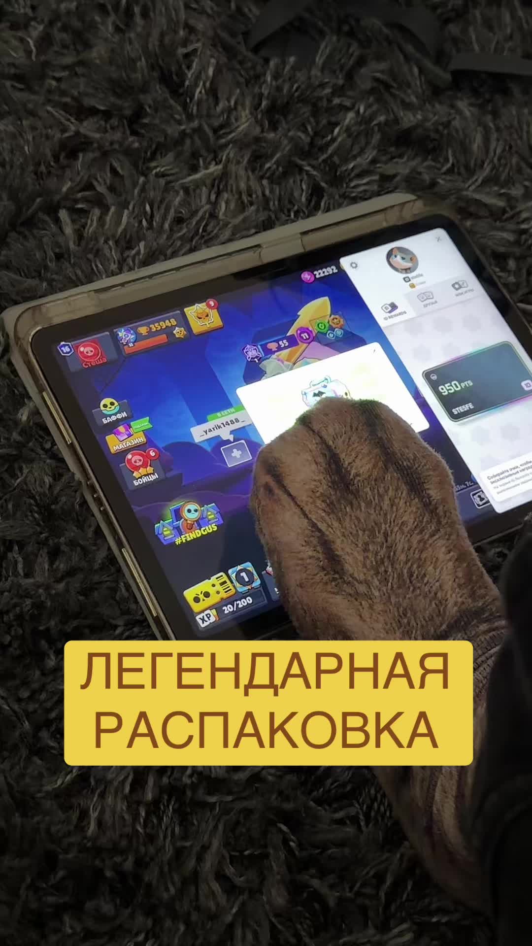 @natella_brawl