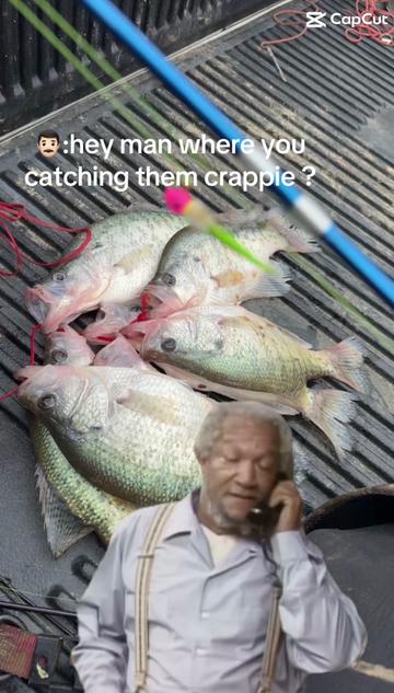 @wyatthodges