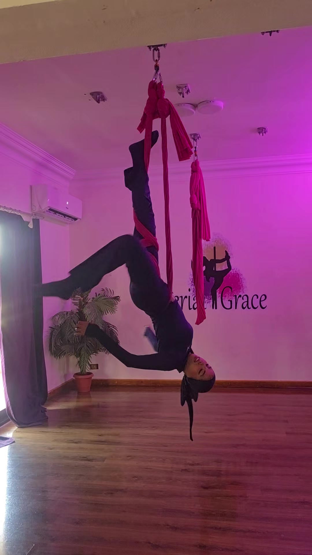 @Aerial Grace