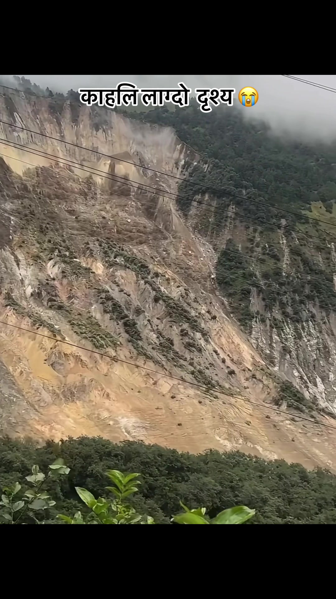 @Riwan Singh Thakuri