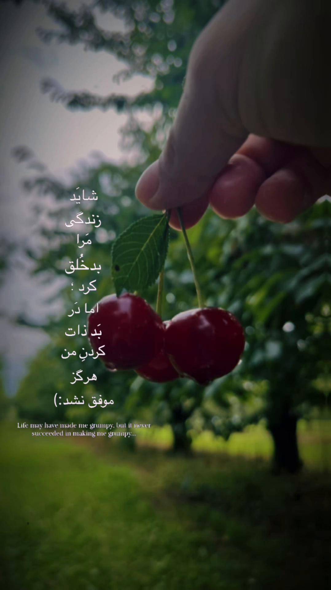 @Hani