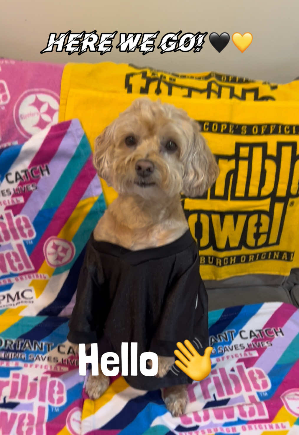@ChloeCaboodleDoodle