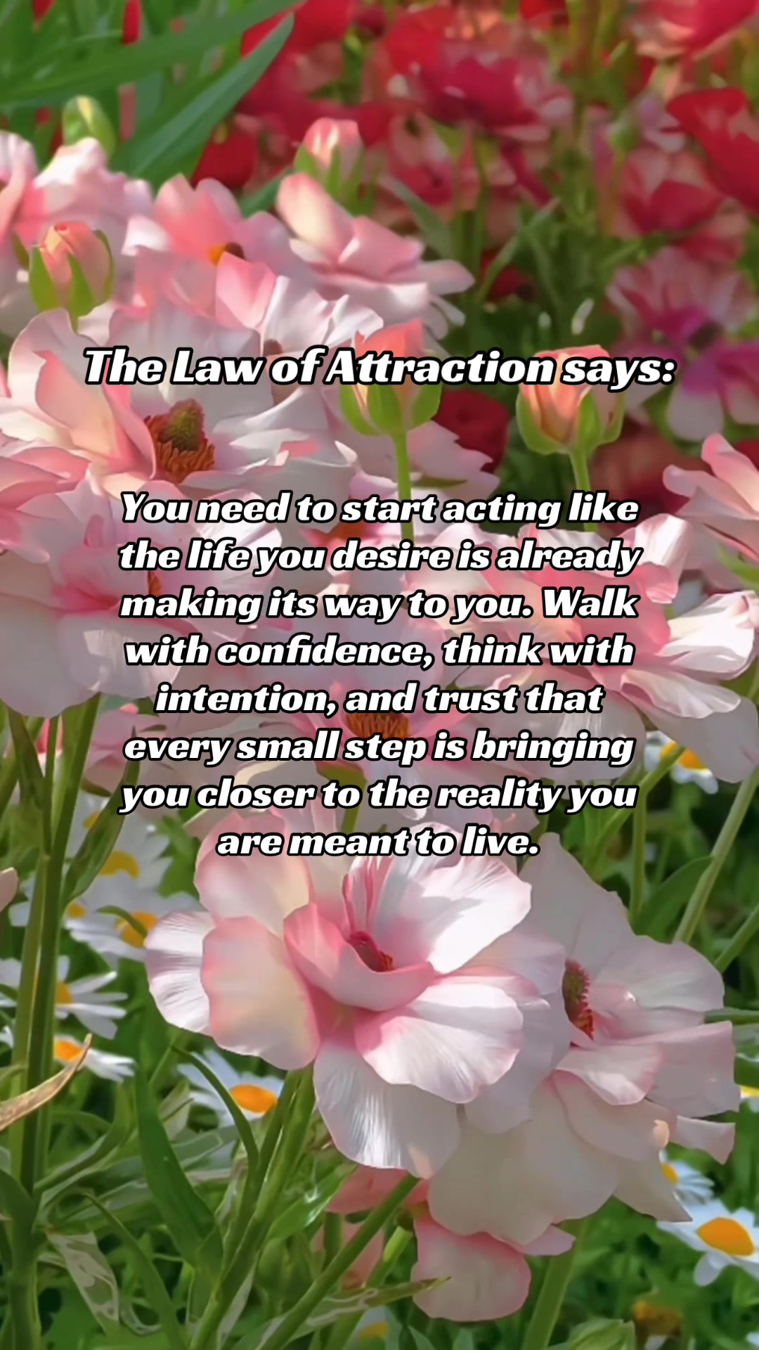 @AbundanceFlow*Manifestation