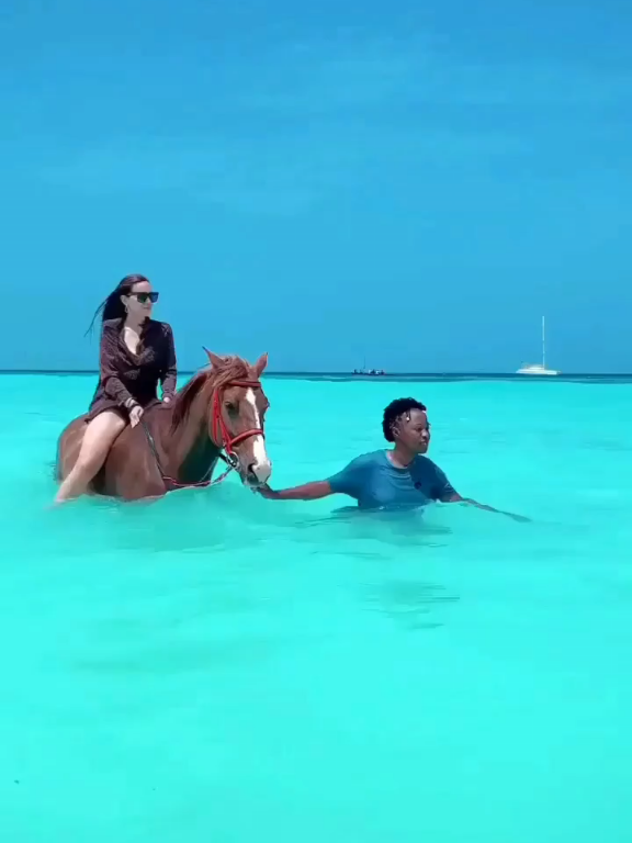 @Travel_Star360