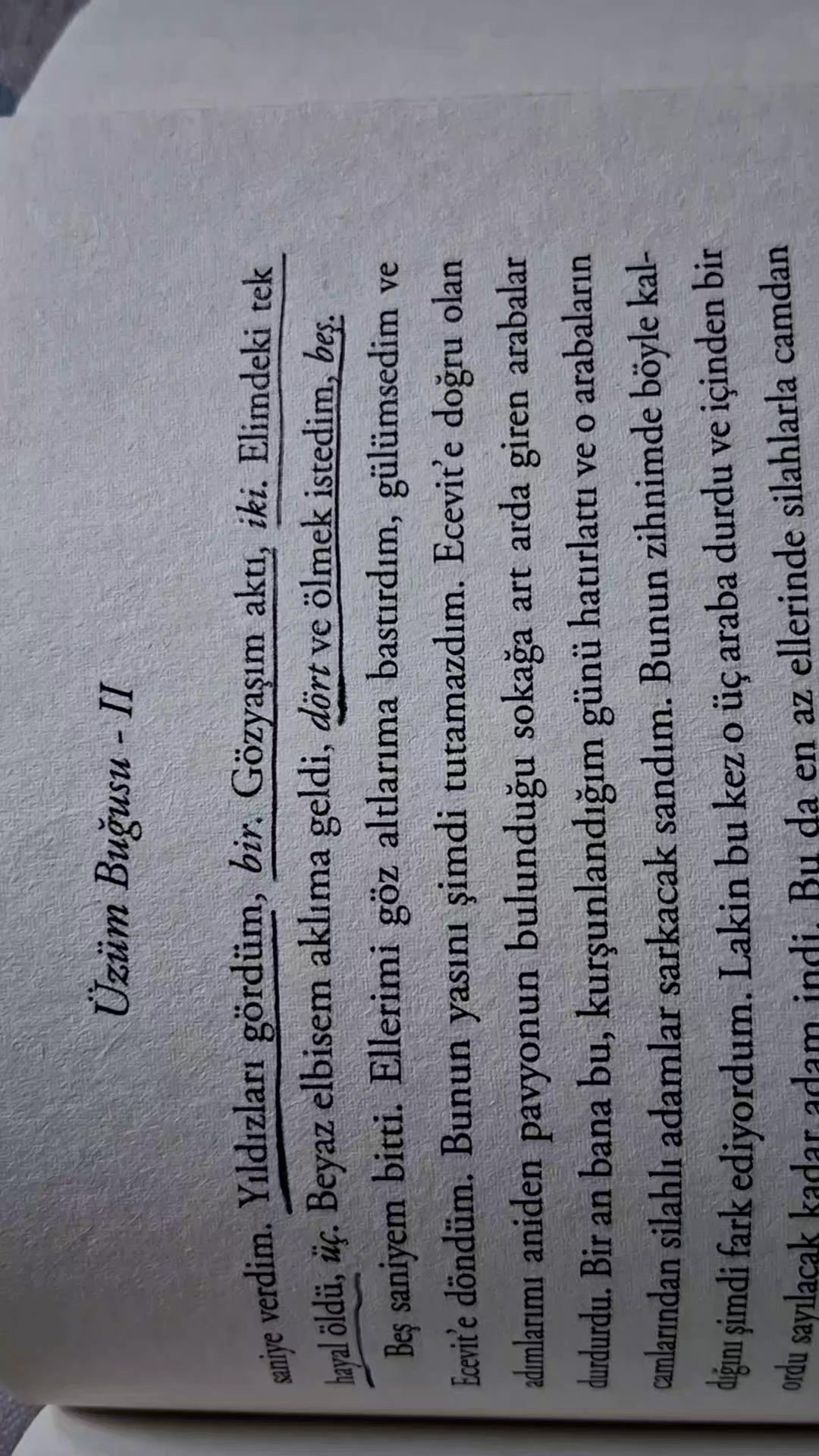 @firuzɛ⚘️