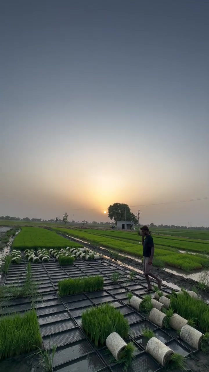 @🌏ساَنجھاَ۰پَنجاَب🌾