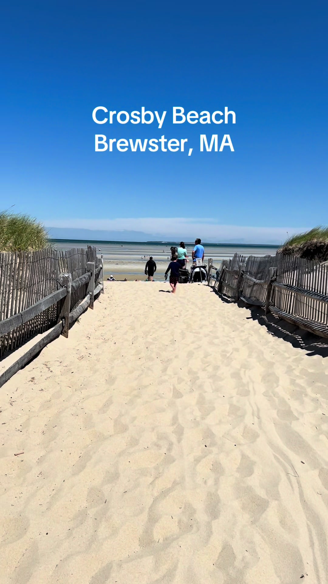 @CapeCodBeachLife