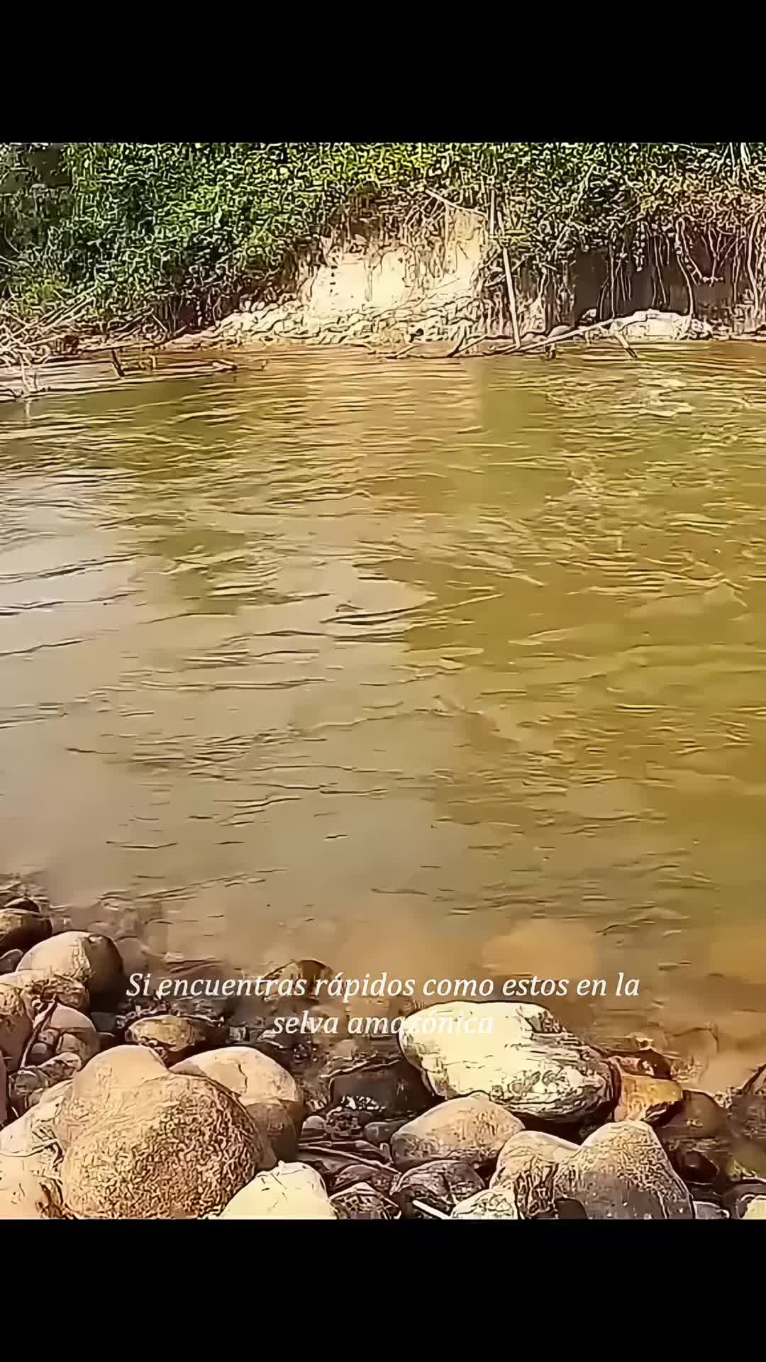 @vgwyeq