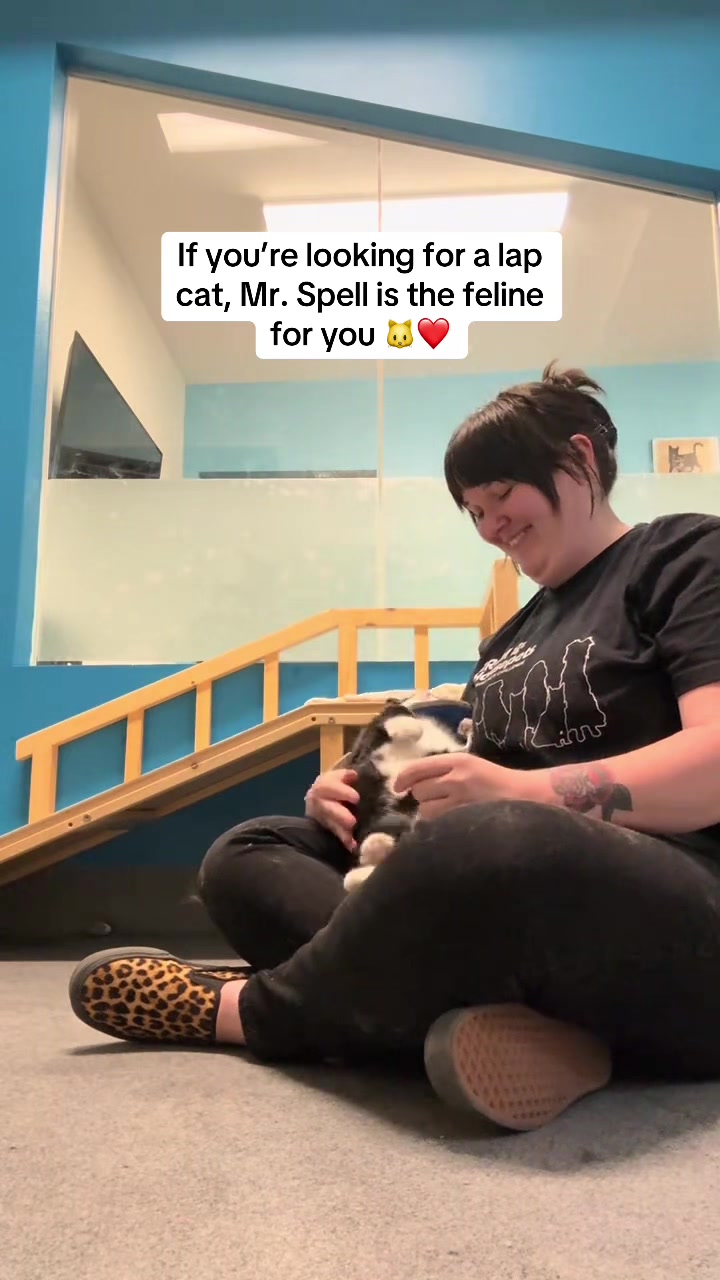 @Animal Friends Alliance
