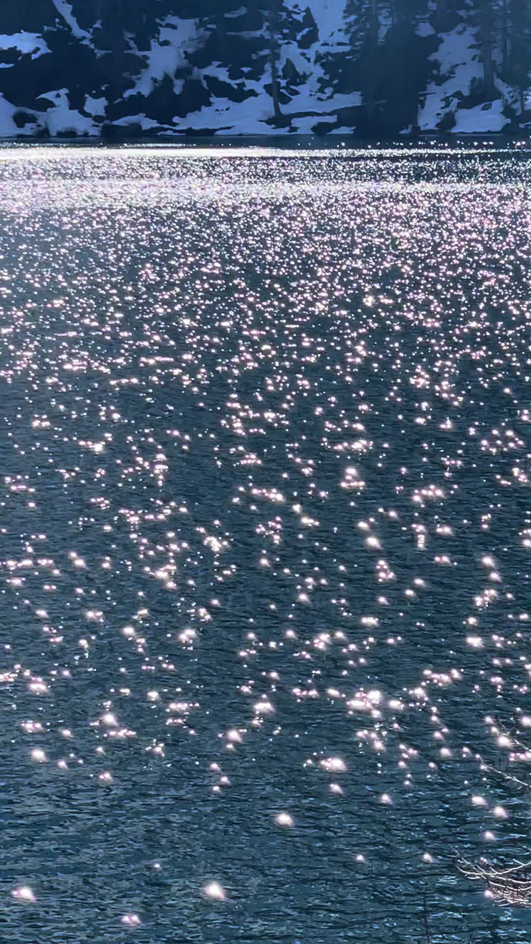 @Sara ☀️