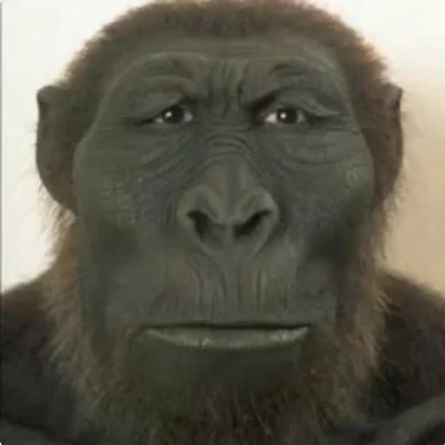 @wonkistan