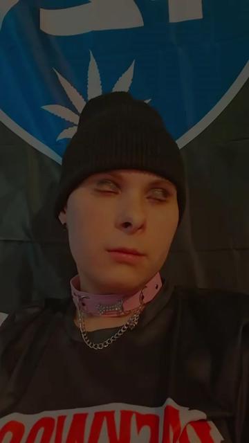 @brat_pup_420